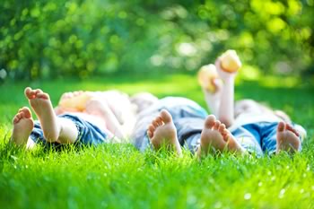 landscaper blacktown landscaping